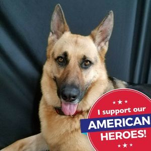 Meet your Posher, Pam